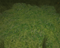Thumbnail for version as of 01:14, 16 May 2011