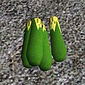 Thumbnail for version as of 20:17, 29 March 2011