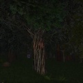 Thumbnail for version as of 03:20, 26 July 2017