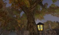 Thumbnail for version as of 00:02, 29 January 2014