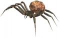 Thumbnail for version as of 07:02, 5 January 2013