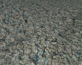 Thumbnail for version as of 01:36, 16 May 2011
