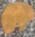 Thumbnail for version as of 12:03, 6 August 2011