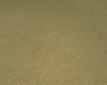 Thumbnail for version as of 01:14, 16 May 2011