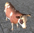 Thumbnail for version as of 08:45, 3 January 2013