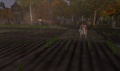 Thumbnail for version as of 23:43, 28 January 2014