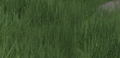 Thumbnail for version as of 06:39, 6 January 2010