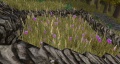 Thumbnail for version as of 13:04, 21 May 2014
