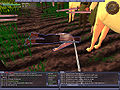 Thumbnail for version as of 02:42, 4 November 2011