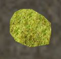 Thumbnail for version as of 22:15, 25 June 2013