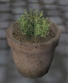 Thumbnail for version as of 02:16, 5 December 2016