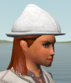 Thumbnail for version as of 23:12, 4 March 2021