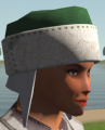 Thumbnail for version as of 23:14, 4 March 2021