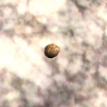 Thumbnail for version as of 16:25, 26 December 2016