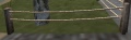 A Low Rope Fence