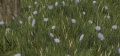 Thumbnail for version as of 12:48, 23 May 2014