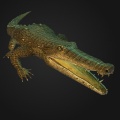CrododileRender.jpg