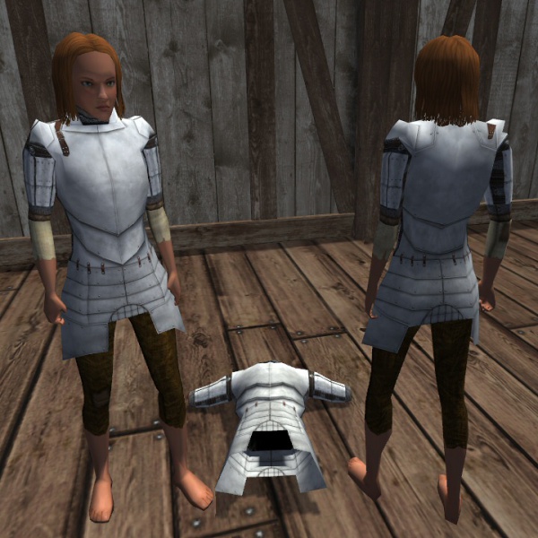 File:Breast plate.jpg