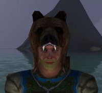 A Brown bear helm