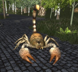 A Scorpion