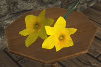 A Bouquet of yellow flowers