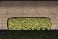 Meduim-Hedge.png