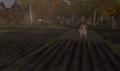 Thumbnail for version as of 23:55, 28 January 2014