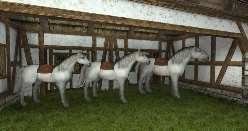 File:Horse bodies.jpg