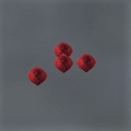 Raspberries.jpg