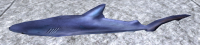 A Blue shark