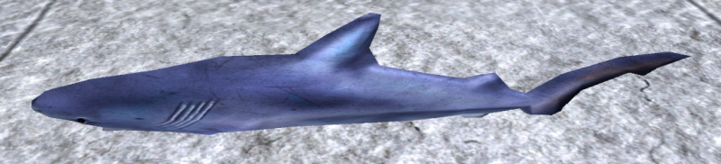 File:Blue shark.png