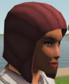 Thumbnail for version as of 23:21, 4 March 2021