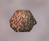 A Tomato seeds