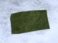 Thumbnail for version as of 00:46, 5 February 2017