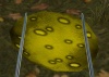 Huge egg.jpg