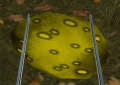 Thumbnail for version as of 11:16, 11 August 2012