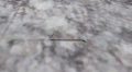 Crowbar.png