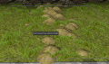 Hay almost dried.png