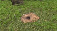 Animal burrow