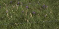 Thumbnail for version as of 14:33, 23 May 2014