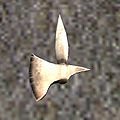 A Huge halberd head