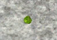 A Small moss