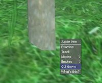 Tutorial Cutting.jpg