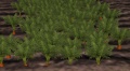 Thumbnail for version as of 07:32, 2 December 2016