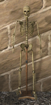 A Sigvard the skeleton