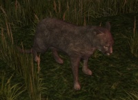 A Statue of mountain lion