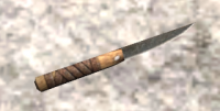 A Carving knife