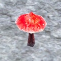Thumbnail for version as of 15:49, 17 February 2017