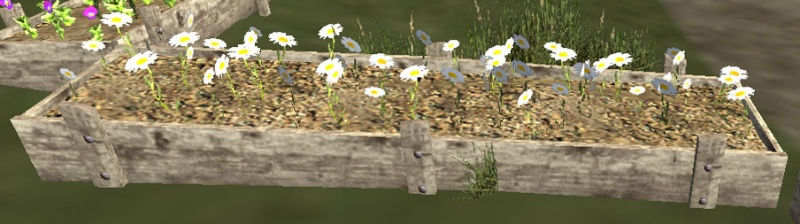 File:White flowerbed.jpg