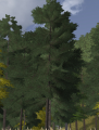 Thumbnail for version as of 22:31, 17 December 2016